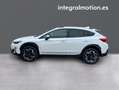 Subaru XV 2.0i Hybrid Executive Plus CVT Blanco - thumbnail 24