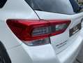 Subaru XV 2.0i Hybrid Executive Plus CVT Blanco - thumbnail 28