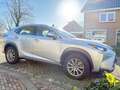 Lexus NX 300h 300h AWD25th Ed Сірий - thumbnail 4