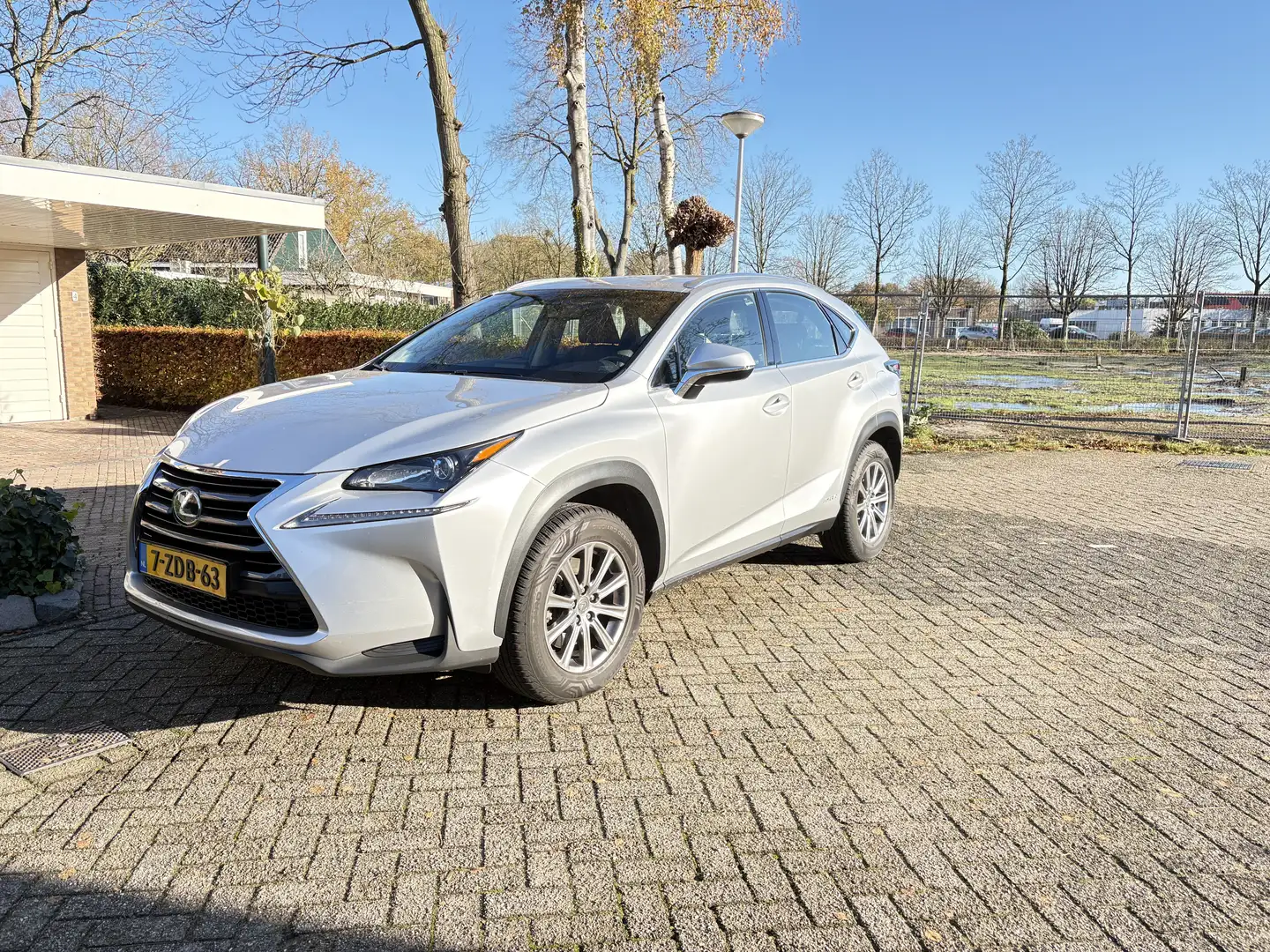 Lexus NX 300h 300h AWD25th Ed Grey - 2
