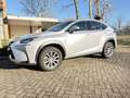 Lexus NX 300h 300h AWD25th Ed Сірий - thumbnail 1