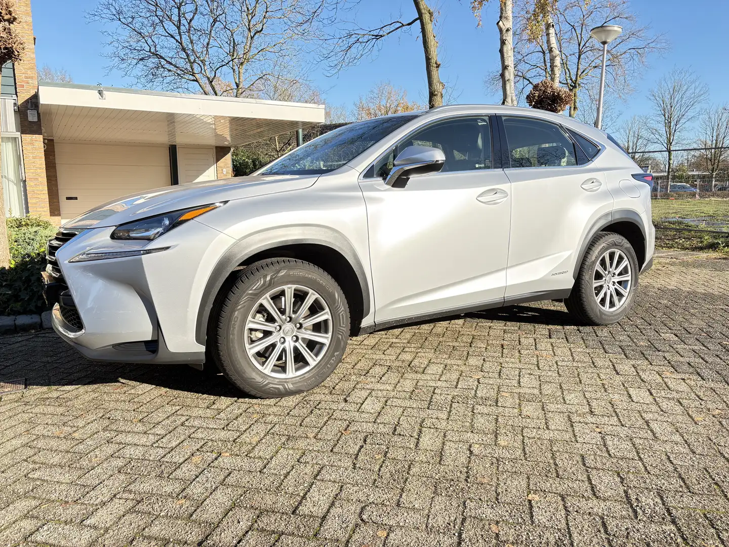 Lexus NX 300h 300h AWD25th Ed Grey - 1