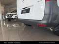 Mercedes-Benz Vito 114 CDI 4X4 Weiß - thumbnail 16