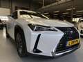 Lexus UX 250h Preference Line Camera, Carplay, PDC Weiß - thumbnail 10