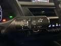 Lexus UX 250h Preference Line Camera, Carplay, PDC Weiß - thumbnail 23