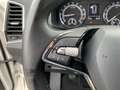 Skoda Karoq Drive 125 2.0 TDI+AHK+Alufelgen+Klimaautomatik+Sit Weiß - thumbnail 13