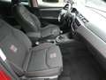 SEAT Ibiza FR *NAVI*ALU*PDC*KLIMA* Rood - thumbnail 21