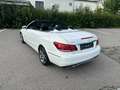 Mercedes-Benz E 220 E 220 BlueTEC Cabrio *Aut.*Navi*Teilleder*PDC*el.Variodach*Sportpaket*Absolut ROSTFREI* Weiß - thumbnail 11