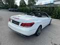 Mercedes-Benz E 220 E 220 BlueTEC Cabrio *Aut.*Navi*Teilleder*PDC*el.Variodach*Sportpaket*Absolut ROSTFREI* Weiß - thumbnail 12