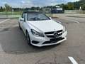 Mercedes-Benz E 220 E 220 BlueTEC Cabrio *Aut.*Navi*Teilleder*PDC*el.Variodach*Sportpaket*Absolut ROSTFREI* Weiß - thumbnail 6