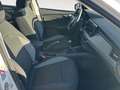 Skoda Kamiq TODOTERRENO 1.0 TSI 70KW ACTIVE 95 5P Blanco - thumbnail 5