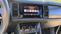 Skoda Kodiaq Kodiaq 2.0 TDI 4x4 DSG Sportline Schwarz - thumbnail 9