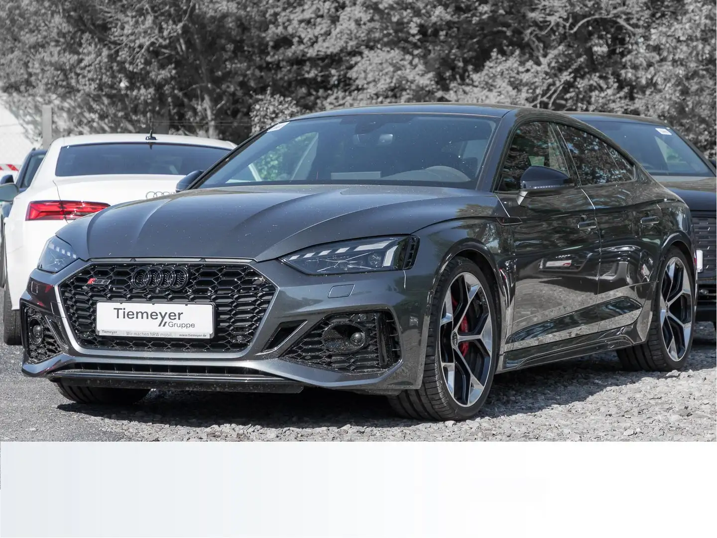 Audi RS5 RS5 Sportback COMPETITION PANO SPORT-AGA+ ASSIST Gris - 2