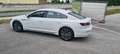 Volkswagen Arteon Elegance Weiß - thumbnail 17