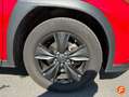 Lexus UX 250h 2.0 Business Rojo - thumbnail 10
