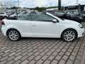 Volkswagen Golf Cabriolet Basis BMT Blanc - thumbnail 7