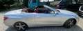 Mercedes-Benz E 250 Cabrio cdi be Executive - thumbnail 1