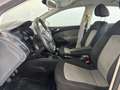 SEAT Ibiza ST 1.6TDI CR Style 105 Marrón - thumbnail 16