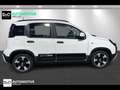 Fiat Panda Easy padina cross Weiß - thumbnail 4