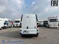Fiat Talento Furgone Lh2 Weiß - thumbnail 5