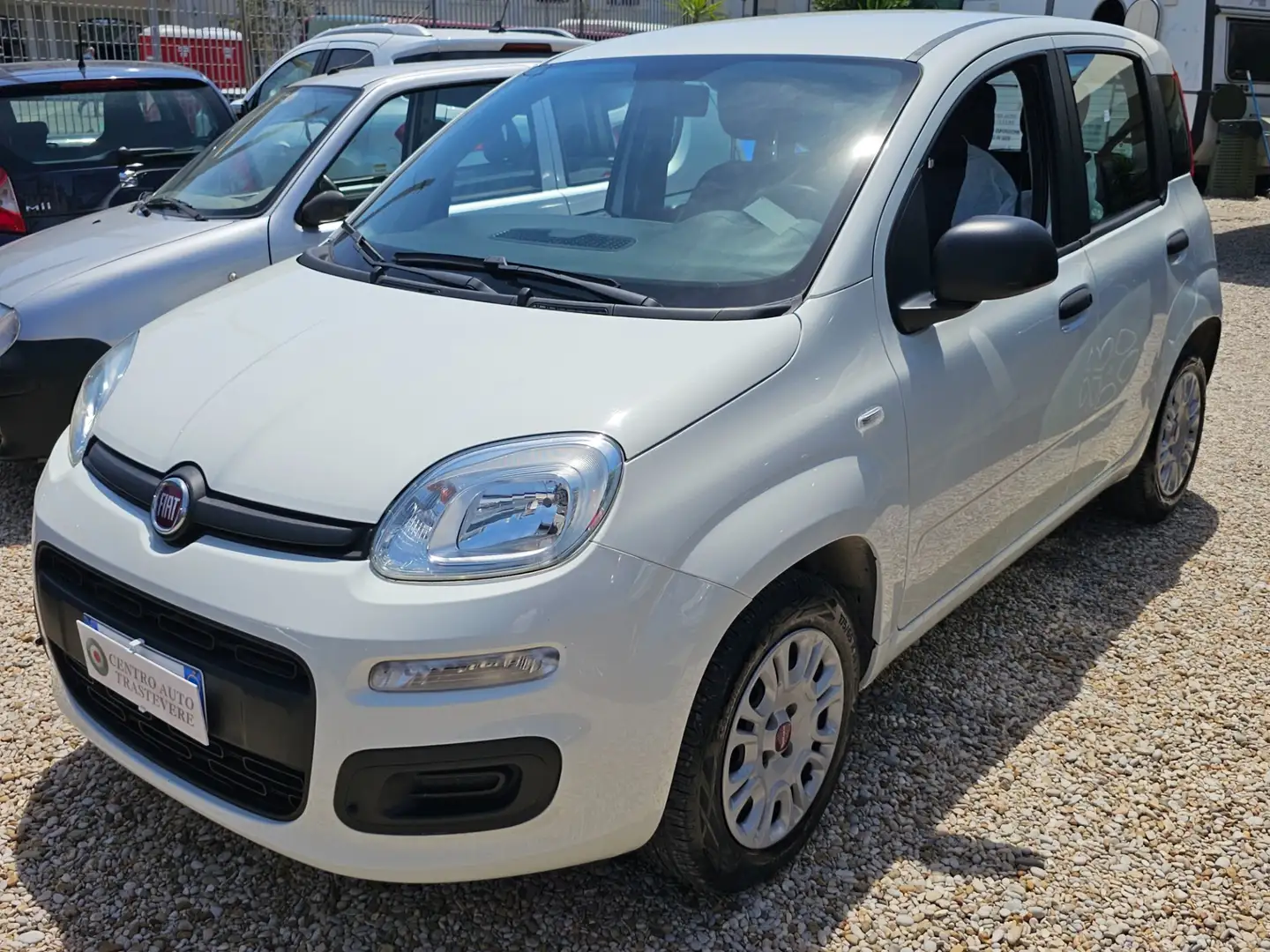 Fiat Panda 1.2 Easy Weiß - 1