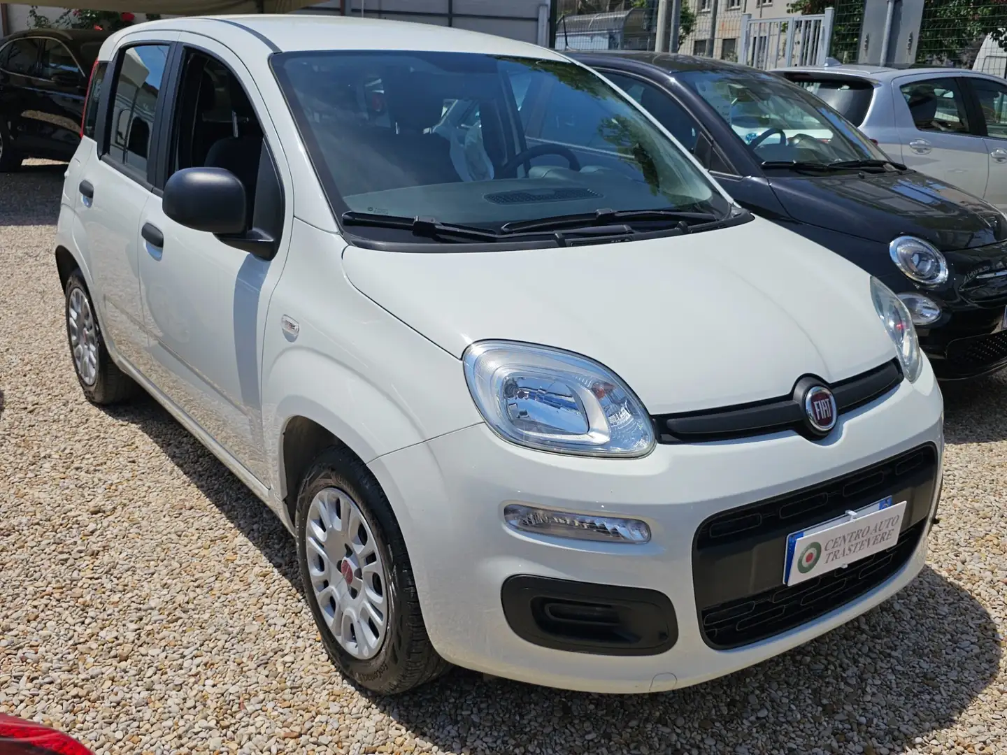 Fiat Panda 1.2 Easy Weiß - 2