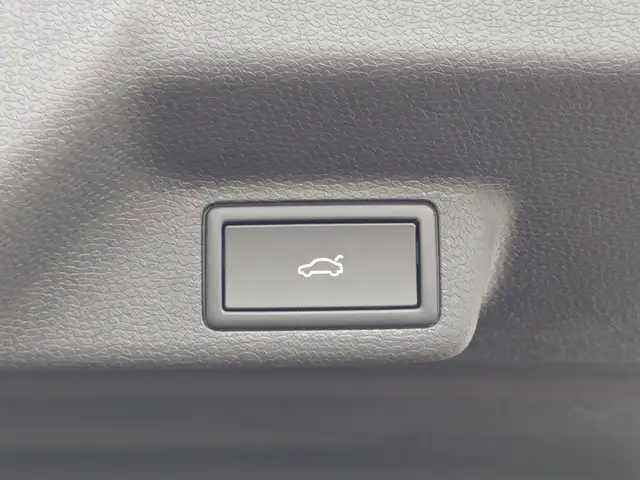 Volkswagen ID. Buzz VW ID. Buzz GTX LR 4MOTION 250 kW Ansicht 12