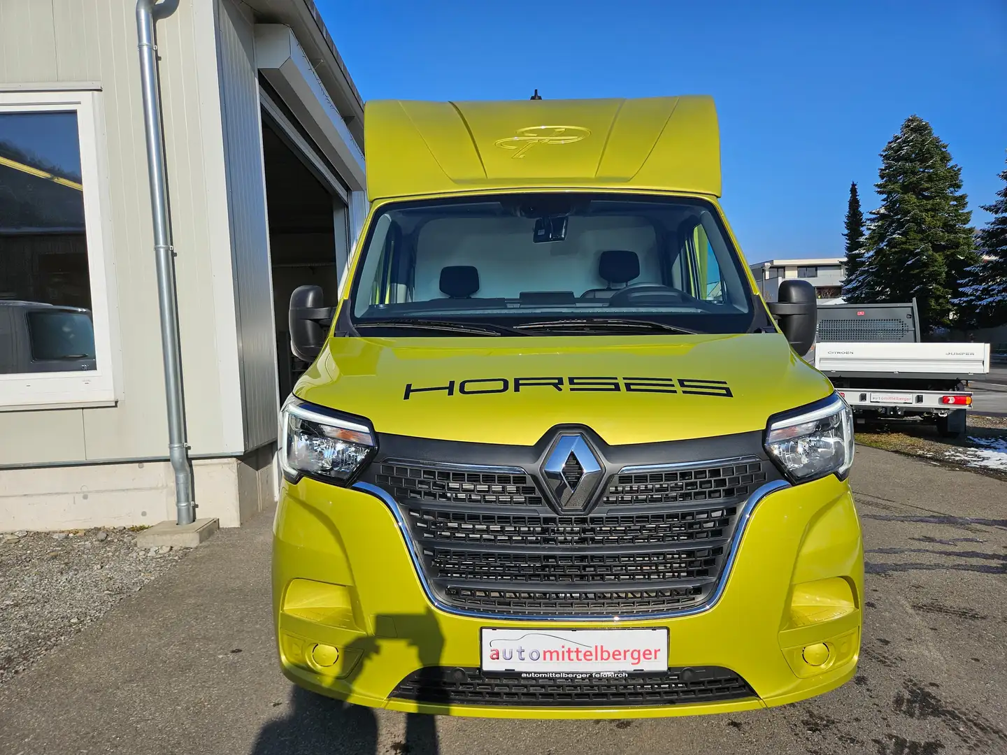 Renault Master Dickenherr Pferdetransporter Grün - 2