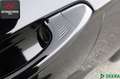 Ford Mustang CONVERTIBLE 5.0 Ti-VCT GT V8 SITZKLIMA Negru - thumbnail 27