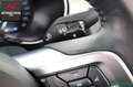 Ford Mustang CONVERTIBLE 5.0 Ti-VCT GT V8 SITZKLIMA Black - thumbnail 18