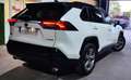 Toyota RAV 4 2.5 hybrid 4WD Advance Blanco - thumbnail 6
