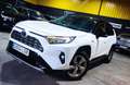 Toyota RAV 4 2.5 hybrid 4WD Advance Blanco - thumbnail 20