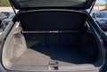 Volkswagen T-Roc Business 1.5 TSI 150CV DSG Gris - thumbnail 15