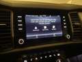 Skoda Kodiaq 2.0 TDI Ambition LED/ACC/Kam/Navi/4xSHZ Gris - thumbnail 17