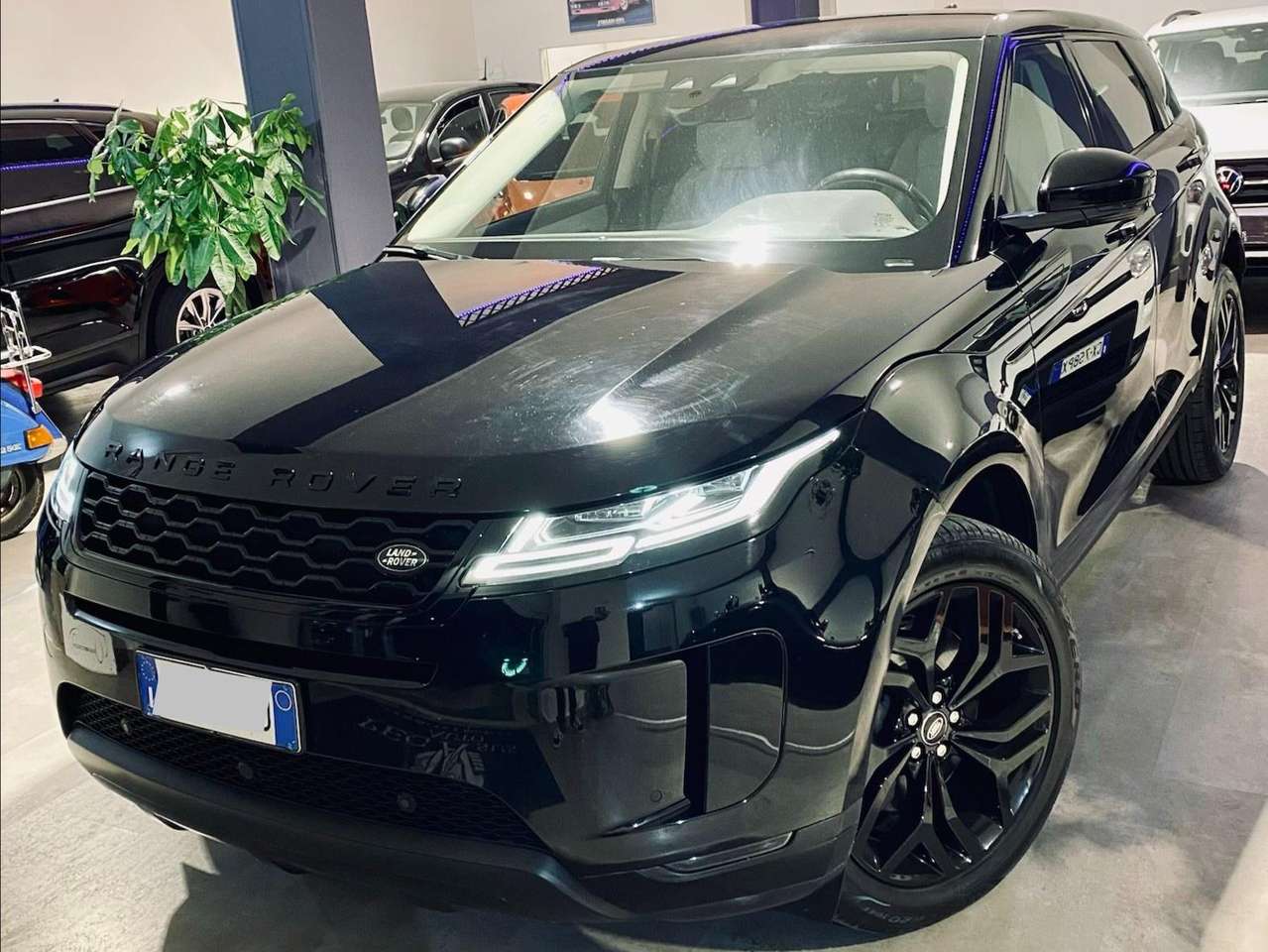 Land Rover Range Rover Evoque Range Rover Evoque 5p 2.0 td4 Launch edition 150cv