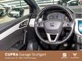 SEAT Ibiza 1.0 TSI Xcellence 7 kW Grau - thumbnail 9
