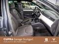 SEAT Ibiza 1.0 TSI Xcellence 7 kW Grau - thumbnail 5