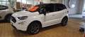 Ford EcoSport 1.5 TDCI ST-Line 4x4 Grigio - thumbnail 3