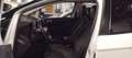 Ford EcoSport 1.5 TDCI ST-Line 4x4 Grigio - thumbnail 15