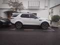 Land Rover Discovery 3.0TD6 HSE Luxury Aut. - thumbnail 15