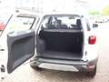 Ford EcoSport 1.0 Titanium Alu PDC Klimaauto SHZ FSHZ Weiß - thumbnail 9