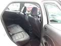 Ford EcoSport 1.0 Titanium Alu PDC Klimaauto SHZ FSHZ Weiß - thumbnail 6