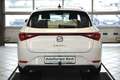SEAT Leon ST 2.0TDI Style DSG*AHK*LED*SHZ Weiß - thumbnail 5