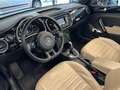 Volkswagen Beetle Cabriolet 50´s Design, Leder, Navi, 1. Hand, 50s Schwarz - thumbnail 11