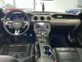 Ford Mustang 2,3l EcoBoost *Premium/ SHZ/Sitzkühlung Rot - thumbnail 12