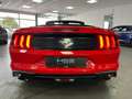 Ford Mustang 2,3l EcoBoost *Premium/ SHZ/Sitzkühlung Rot - thumbnail 8
