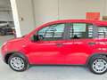 Fiat New Panda 1.0 FireFly Hybrid Czerwony - thumbnail 3
