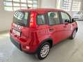 Fiat New Panda 1.0 FireFly Hybrid Rojo - thumbnail 9
