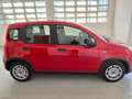 Fiat New Panda 1.0 FireFly Hybrid Rojo - thumbnail 13