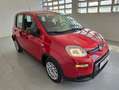 Fiat New Panda 1.0 FireFly Hybrid Rojo - thumbnail 8